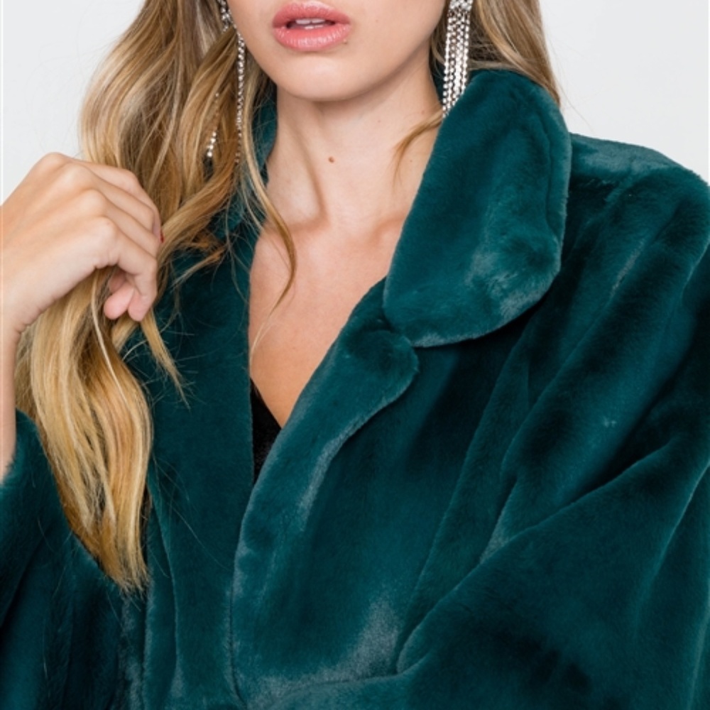 FAUX FUR COAT - Picture 4 of 4